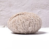 Wool and Polyester Yarn PW-WG0A3E8-04-1