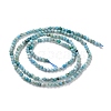 Natural Blue Opal Beads Strands G-K315-B05-A-4