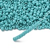 TOHO 6/0 Round Beads SEED-XTR06-0055-2