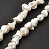 Electroplated Shell Pearl Beads Strands BSHE-C009-01A-2