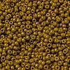 MIYUKI Round Rocailles Beads X-SEED-G008-RR4456-3