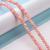 Natural Cultured Freshwater Shell Beads Strands SHEL-F002-02-3
