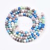 Glass Beads Strands GLAA-T006-16E-2