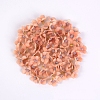 Silk Artificial Flower FIND-WH0063-17S-1