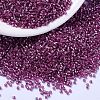 MIYUKI Delica Beads SEED-X0054-DB2162-1
