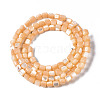 Natural Trochid Shell/Trochus Shell Bead Strands SSHEL-N034-77-C03-2