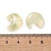 Baking Paint Transparent Glass Beads DGLA-F003-01H-3
