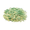 Plastic Sequins Beads PVC-R024-11A-2