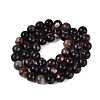 Natural Biotite Beads Strands G-Q616-01C-3