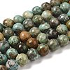 Natural Turquoise Beads Strands G-P506-04D-01-1