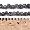 Natural Cordierite/Iolite/Dichroite Beads Strands GG-CBA9A7F-A02-5