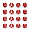 Platinum Plated Alloy Enamel Charms LS-X-ENAM-S118-03I-P-2