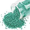 MIYUKI Delica Beads SEED-X0054-DB2505-1