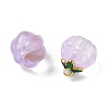 Glass Charms GLAA-P072-04G-05-2