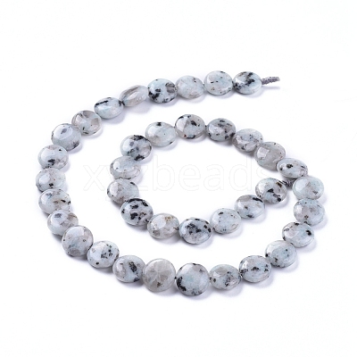 Natural Sesame Jasper/Kiwi Jasper Beads Strands G-G805-D13-1