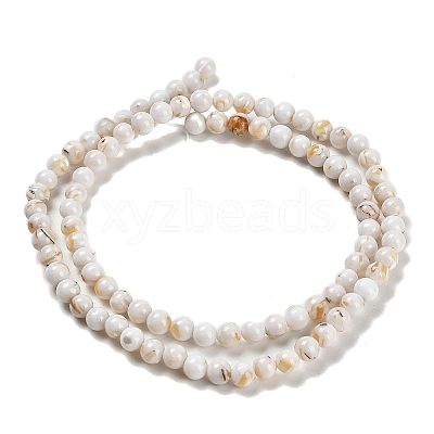 Assembled Synthetic Stone and Trochus Shell Beads Strands G-B128-08A-01-1