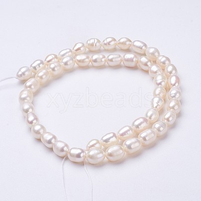Natural Cultured Freshwater Pearl Beads Strands PEAR-P002-55-01-1