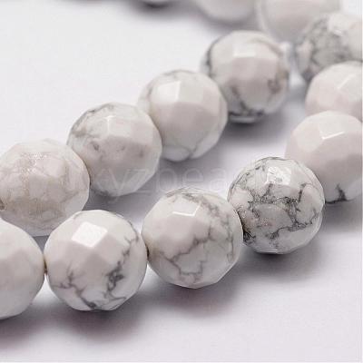 Natural Howlite Beads Strands G-D840-44-6mm-1
