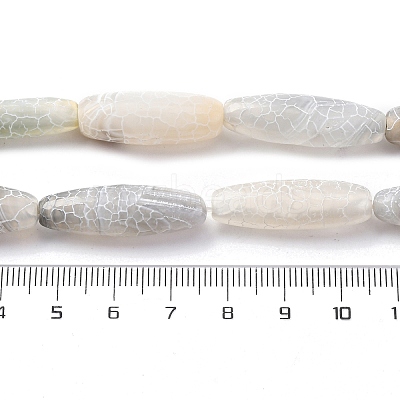Natural Weathered Agate Beads Strands G-P570-C02-01-1