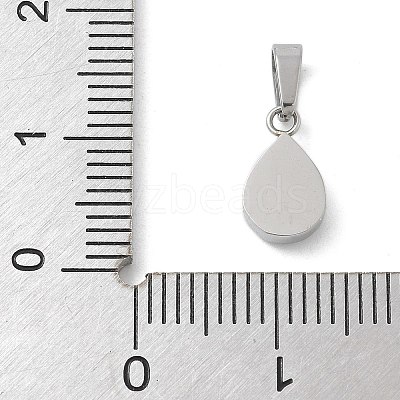 Ion Plating(IP) 304 Stainless Steel Micro Pave Cubic Zirconia Pendants STAS-Z107-02P-03-1