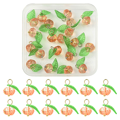 20Pcs 2 Colors Glass & Acrylic Pendants PALLOY-FS00051-1