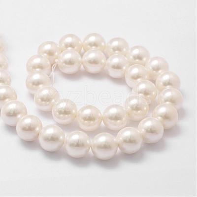 Shell Pearl Bead Strands BSHE-L026-03-14mm-1