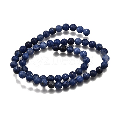 Natural Sodalite Round Bead Strands G-P072-27-4mm-1