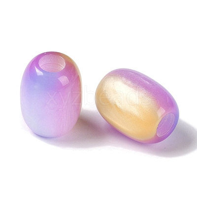 Triple Color Resin European Beads RESI-F055-13I-1