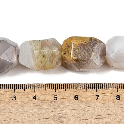 Natural Botswana Agate Beads Strands G-F796-C03-01-1