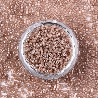 FGB 11/0 Grade A Baking Paint Glass Seed Beads X-SEED-S030-1145-1