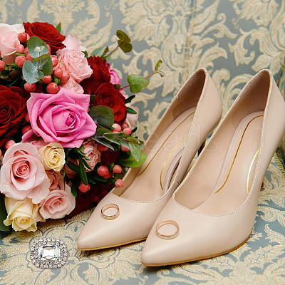 Alloy Rhinestone Shoe Decorations FIND-WH0126-417C-1