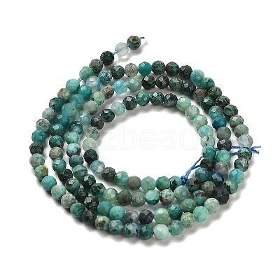 Natural Chrysocolla Beads Strands G-K373-B06-03-1