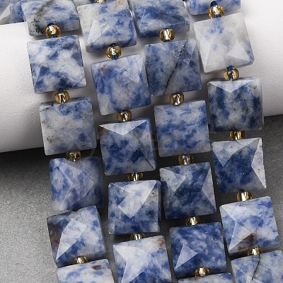 Natural Blue Spot Jasper Beads Strands G-F839-A15-01-1