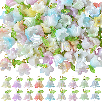 11 Sets Acrylic Beads Pendants FIND-SC0016-66-1