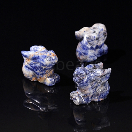 Natural Sodalite Display Decorations PW-WG14A90-49-1