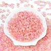 Frosted Glass Seed Beads SEED-N008-05B-2