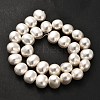 Shell Pearl Beads Strands BSHE-F013-01A-3