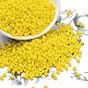 8/0 Glass Seed Beads X1-SEED-A010-3mm-42-1