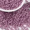 MIYUKI Round Rocailles Beads X-SEED-G008-RR0645-1