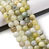 Natural New Jade Beads Strands G-F591-16-10MM-2