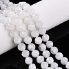 Natural Rainbow Moonstone Beads Strands G-S345-6mm-36-2