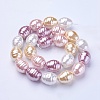 Shell Pearl Beads Strands BSHE-P030-03-2