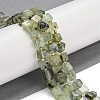 Natural Prehnite Beads Strands G-G053-B12-01B-2