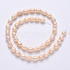 Natural Cultured Freshwater Pearl Beads Strands PEAR-N012-07G-3