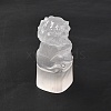 Natural Selenite Figurines DJEW-Q006-01L-3