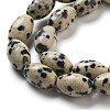 Natural Dalmatian Jasper Beads Strands G-B106-B20-01-4