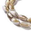 Natural Freshwater Shell Beads Strands SSHEL-B002-13-3