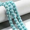 Natural Howlite Beads Strands G-L603-A01-01-2