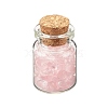 Transparent Glass Wishing Bottle Decoration LS-DJEW-A001-01A-07-1