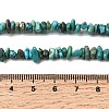 Natural HuBei Turquoise Bead Strands G-H345-A01-03-5